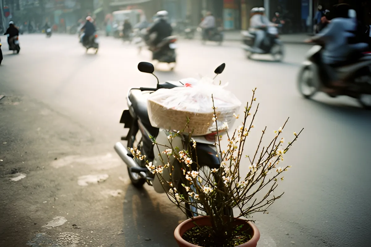 Một chiếc xe máy đậu ven đường, yên sau để giỏ quà bọc nilon, bên cạnh là chậu cây hoa nhỏ nở trắng