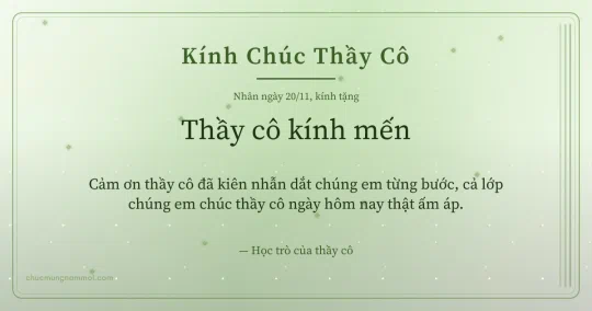 Thiệp cho thầy cô: Sọc dọc ngày 20/11, kiểu 18
