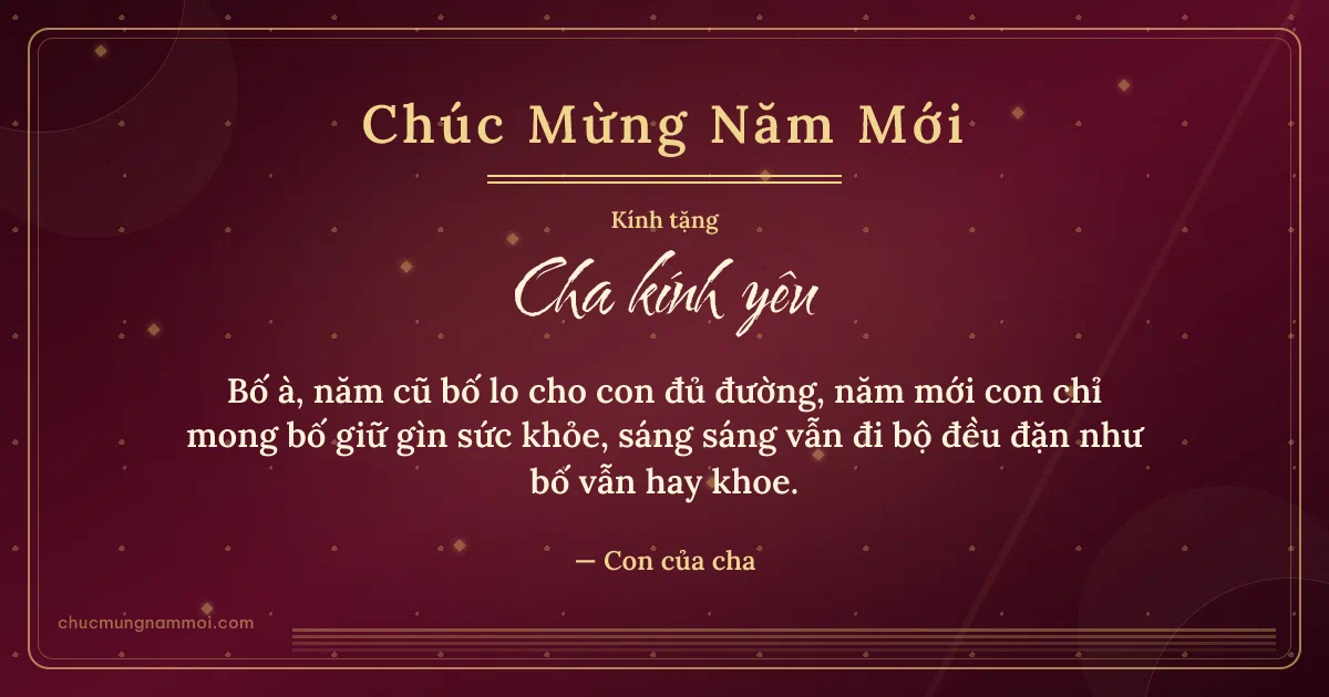Thiệp Tết: Sọc mảnh tặng cha. Bố à, năm cũ bố lo cho con đủ đường… (Bản ngang)