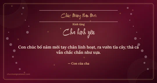 Thiệp Tết cho cha: Mưa chấm và sao lấp lánh đón xuân
