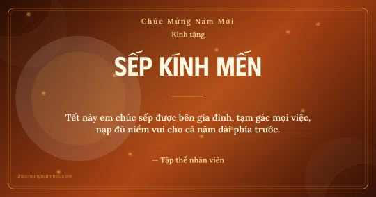 Thiệp Tết cho sếp: Mai vàng và vòng tròn lớn trên nền cam hoàng hôn
