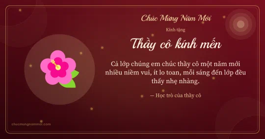 Thiệp Tết: Hoa dâm bụt tặng thầy cô