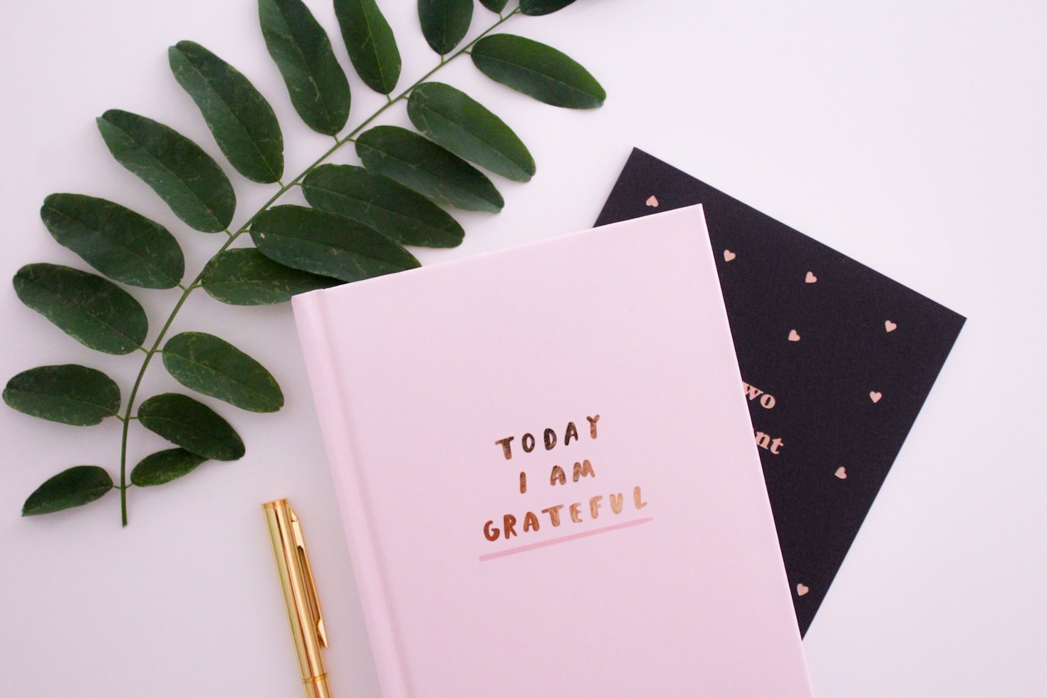 Lessons I’ve Learned from My Everyday Life